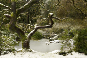 Portland Japanese Garden. Photo Credit: David Cobb